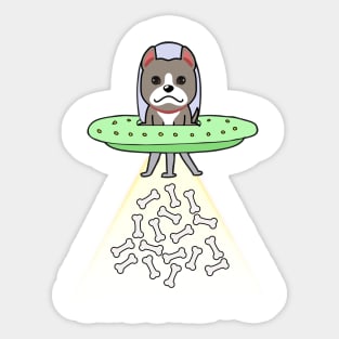 Funny grey dog is flying a ufo Sticker